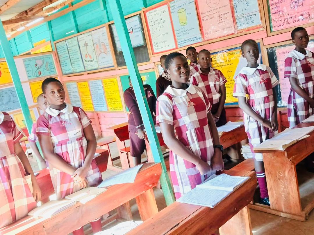 Upper Primary Classroom Learning